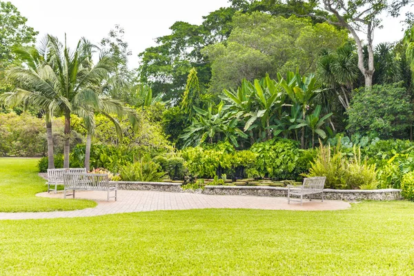 Belo parque com natureza tropical e palmas — Fotografia de Stock