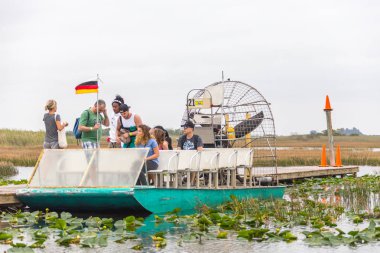 Everglades, Florida, Amerika Birleşik Devletleri - 8 Aralık 2016: Mangrov orman Everglades Bataklığı'tekne turu