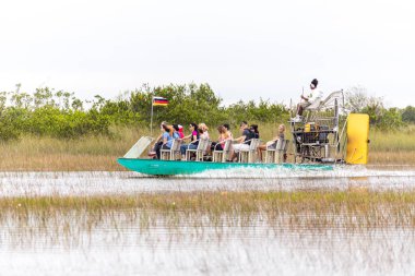 EVERGLADES, FLORIDA, USA - DECEMBER 8, 2016 : Airboat tour at mangrove forest in Everglades swamp clipart