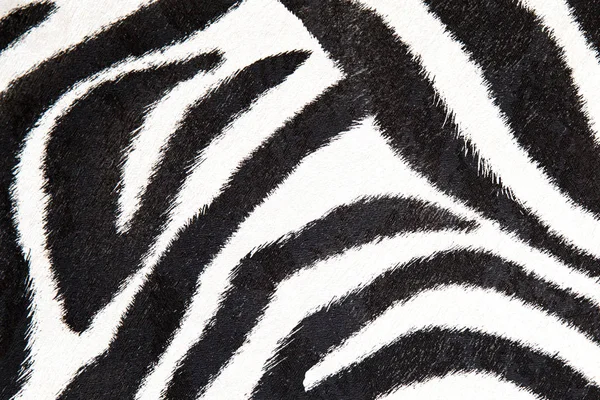 Zebra-Hintergrund schwarz-weiße Textur für Ihr Design — Stockfoto