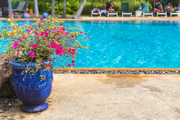 Vaso da fiori vicino a grande bella piscina in hotel di lusso — Foto Stock