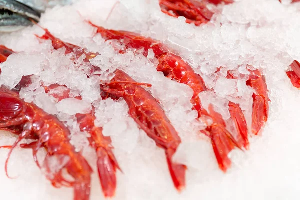 Camarones carabineros sobre hielo en el mercado local —  Fotos de Stock