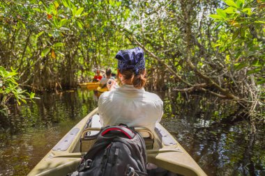 Mangrov orman Everglades Florida, ABD içinde kayak Turizm