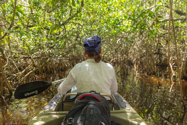 Kayak turistico nella foresta di mangrovie nelle Everglades Florida, USA — Foto Stock