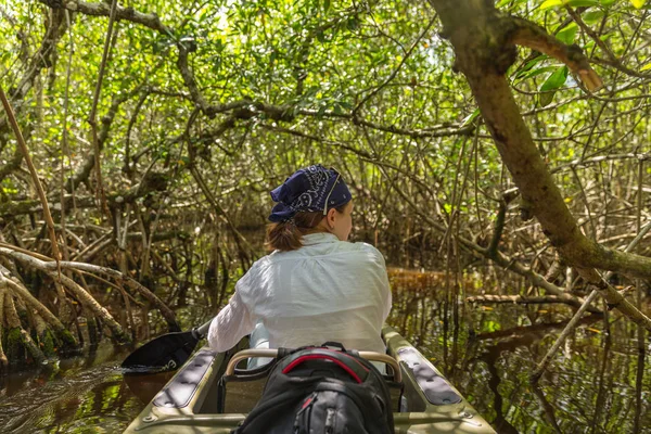 Kayak turistico nella foresta di mangrovie nelle Everglades Florida, USA — Foto Stock
