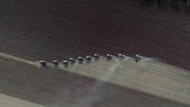 Drone aéreo tiro de colheitadeira combina trabalhando em um campo — Vídeo de Stock