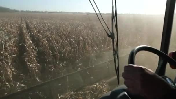 Combineren van opruiming maïs, uitzicht vanaf bestuurder cabine — Stockvideo