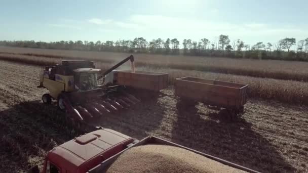 Stavropol, Rusland - 19 September 2017: Luchtfoto drone shot van een combine harvester — Stockvideo