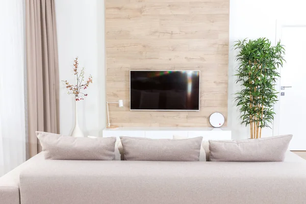 Living room with couch and led tv on wooden wall