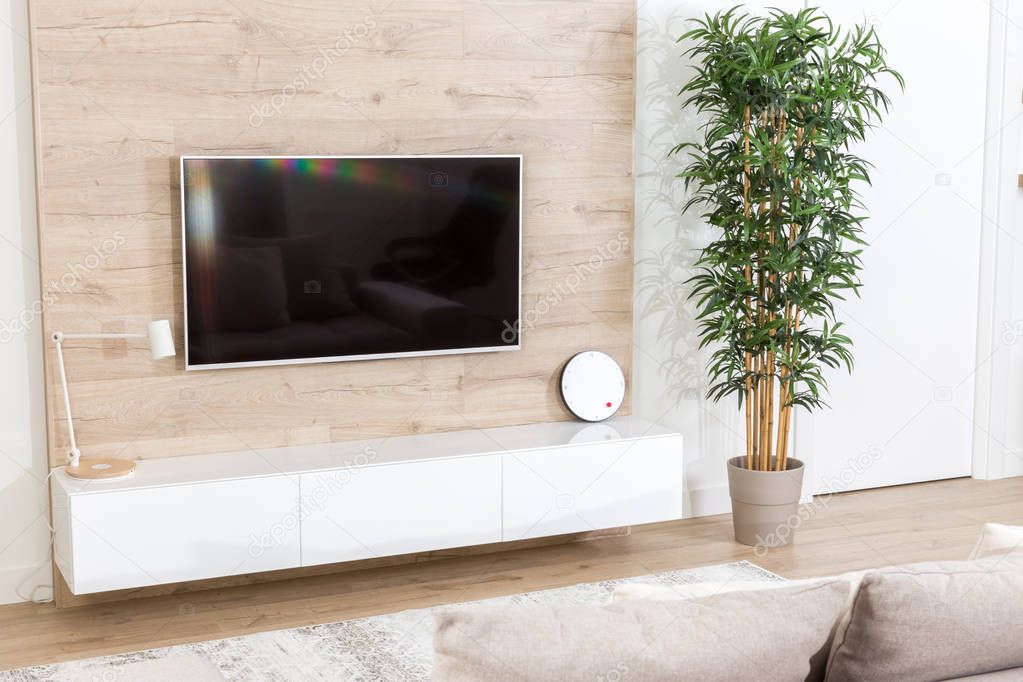 Modern light living room with tv equipment