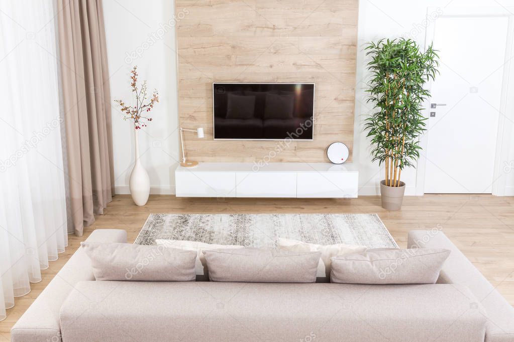 Modern light living room with tv equipment