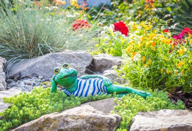 Bir kitap okuma yerde yatan bir kurbağa bir bahçe heykel