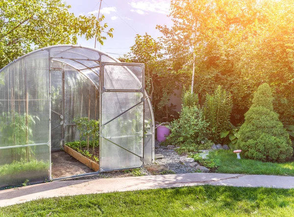 Дугова маленька теплиця на приватному подвір'ї з сонячним сяйвом — стокове фото