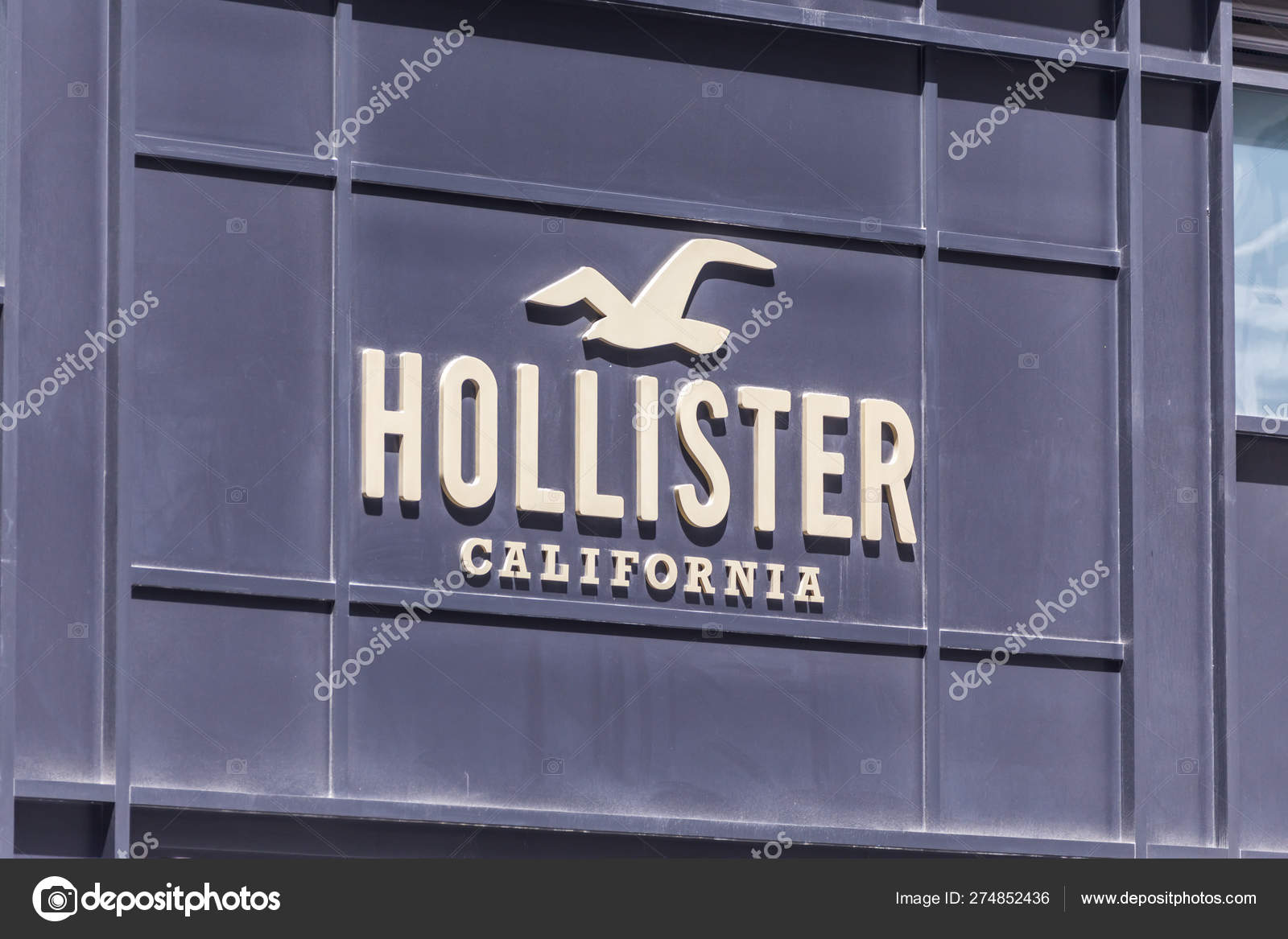 hollister california brand