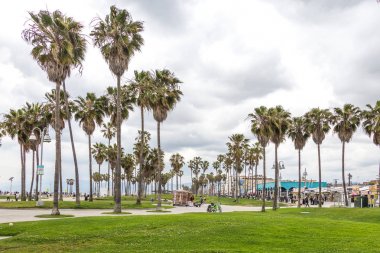 Los Angeles, ABD-11 Mayıs, 2019: Los Angeles Venedik Plajı okyanus cephesi yürüyüş. Kaliforniya 'da ünlü plaj