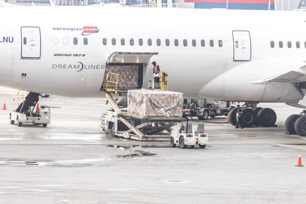 MOSCOW, RUSIA - 09 MAY, 2019: Día ocupado en el aeropuerto de Sheremetyevo. Preparación del avión antes del vuelo, carga de carga —  Fotos de Stock