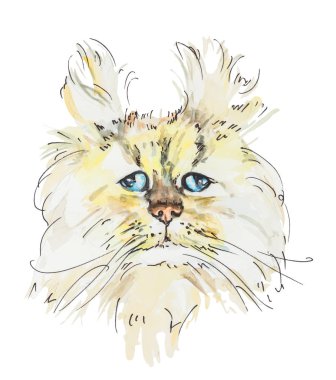 Üzücü kabarık yavru kafa suluboya çizimi