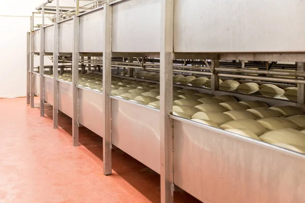 Salting parmesan in cheese factory in Italy — Stock Photo, Image