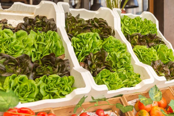 Čerstvý salát v krabici na trhu zemědělců — Stock fotografie