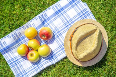kırmızı ve sarı elma ve bir parkta bir bez ve yeşil çim üzerinde hasır şapka, kopya alanı