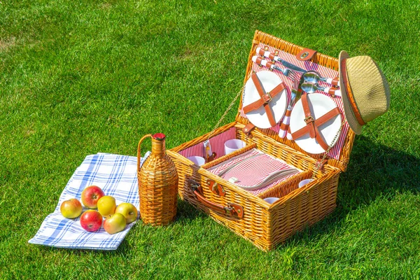 Parkta yeşil güneşli çim hafta sonu Piknik saman sepeti