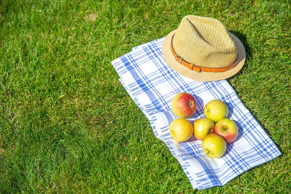 Manzanas rojas y amarillas y sombrero de paja en un paño y hierba verde en un parque, espacio de copia — Foto de Stock