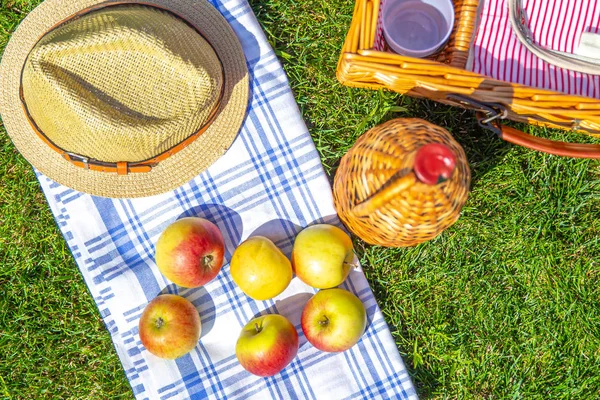 Parkta yeşil güneşli çim üzerinde sepet ile Piknik konsepti