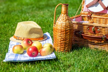 Parkta yeşil güneşli çim piknik sepeti