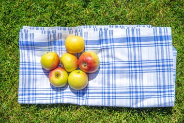 bir parkta bir bez ve yeşil çim üzerinde kırmızı ve sarı elma, kopya alanı