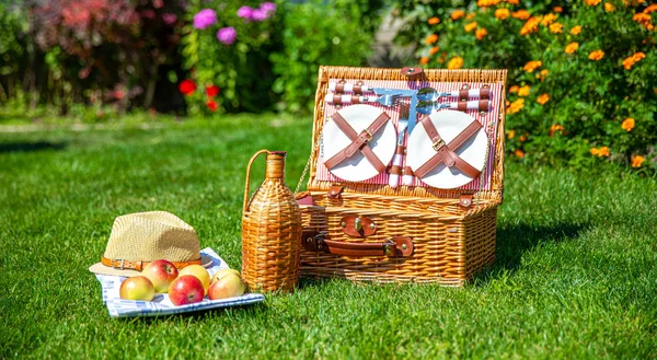 Cesta de picnic en césped verde soleado en el parque —  Fotos de Stock