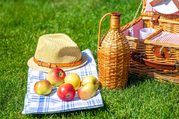 Picknickkorg på grön solig gräsmatta i parken — Stockfoto