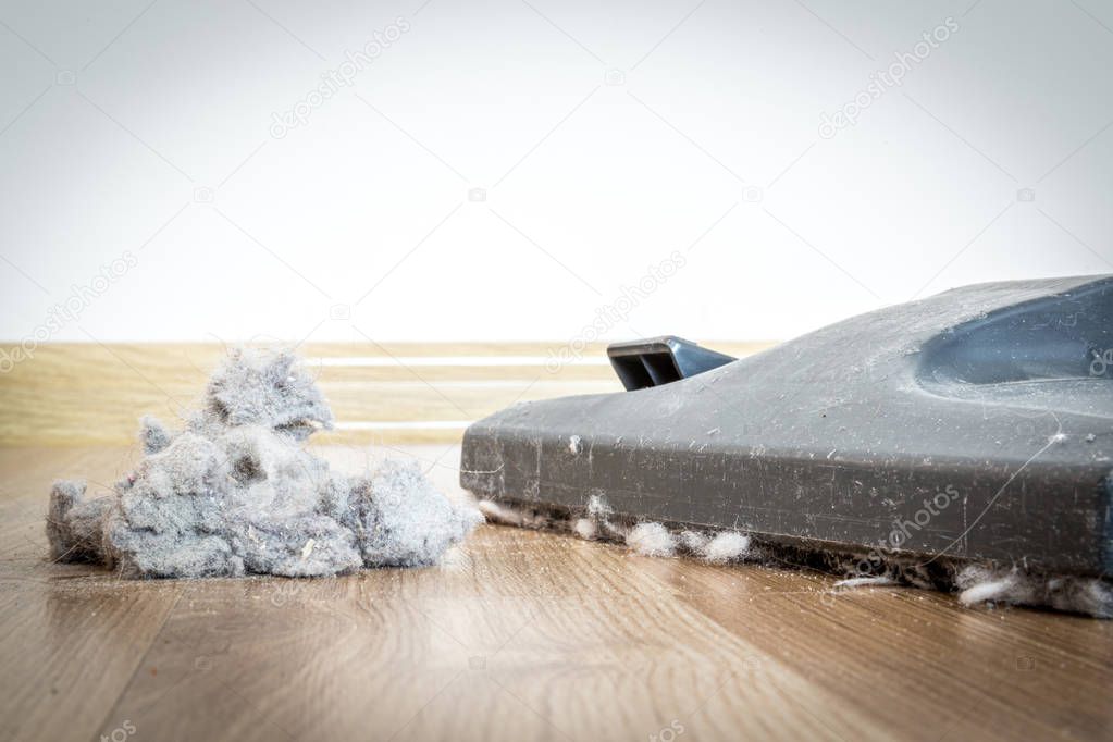 vacuum cleaner and dust on a wooden floor
