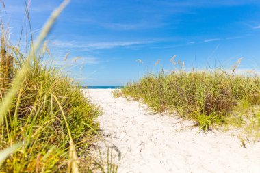 Florida, Abd'deki St. Pete plajı. Okyanusa giden yol