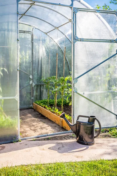 Växthus i Backgarden med öppen dörr och öskar — Stockfoto