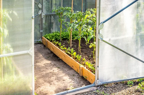 Grönska i trädgården med inbyggd dörr — Stockfoto
