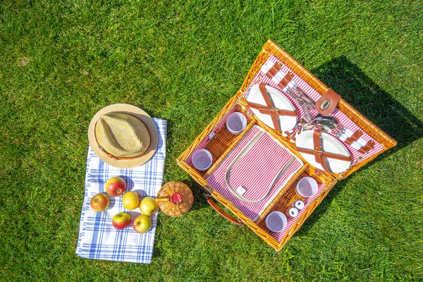 Parkta yeşil güneşli çim piknik sepeti