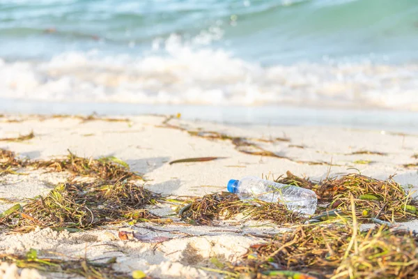 Plastikowa butelka z pokrywką przemywa na plaży zmieszane z wodorostów — Zdjęcie stockowe