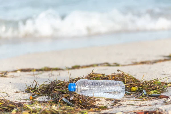 Bouteille en plastique avec bouchon lavé sur la plage mélangé avec des algues — Photo