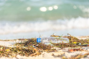 kapaklı plastik şişe yosun ile karışık plajda yıkanmış