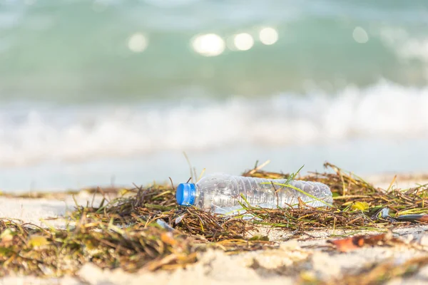 Plastic bottle with cap washed up on beach mixed with seaweed — Stock Photo, Image