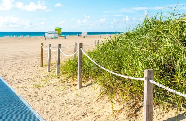 Pathway naar het strand in Miami Florida met oceaan achtergrond — Stockfoto