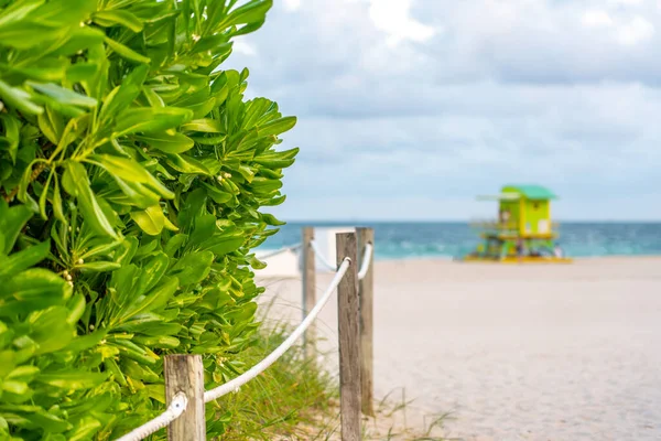 Путь к пляжу в Майами Флорида с океанским фоном — стоковое фото