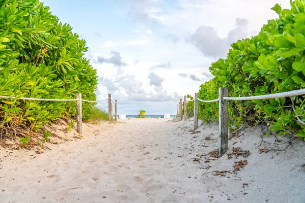 Okyanus geçmişiyle Miami Florida 'daki sahile giden yol. — Stok fotoğraf