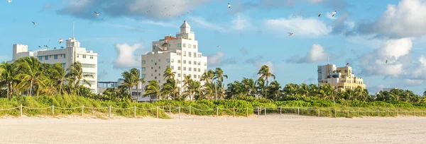 Güney Sahili, Miami 'nin Art deco bölgesinden Panorama. Binalar tropikal palmiye ağaçları ile çevrilidir.. — Stok fotoğraf