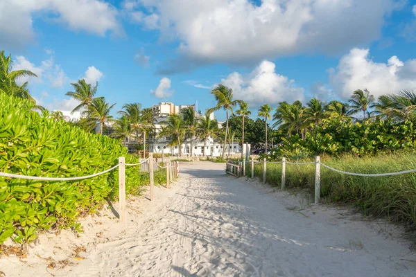 Pathway to the beach in Miami Florida with ocean background