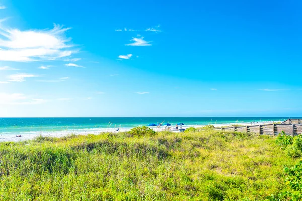 Indiase rotsen strand met groen gras in Florida, Usa — Stockfoto