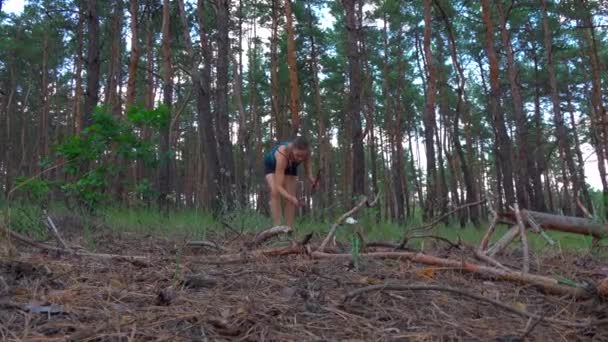 Girl Forest Collects Firewood — Stock Video