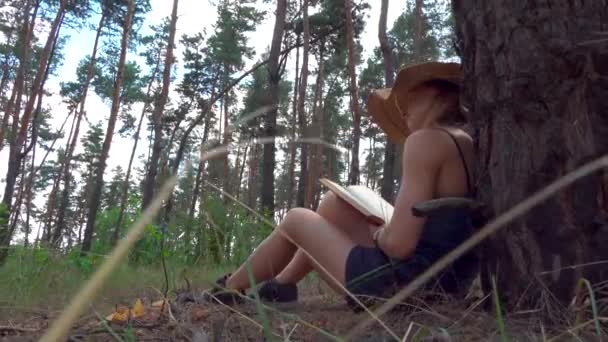 Młoda Kobieta Czyta Książkę Świeżym Powietrzu Lesie — Wideo stockowe
