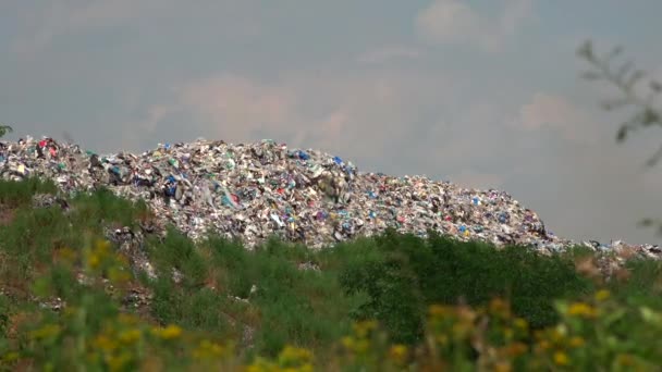 Гірська Велика Купа Сміття Забруднення Купа Смердючих Токсичних Залишків — стокове відео