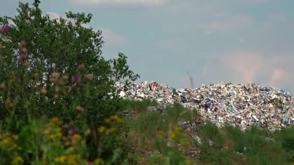 Stora Berg Sophög Och Föroreningar Stinkhög Och Giftiga Rester — Stockvideo